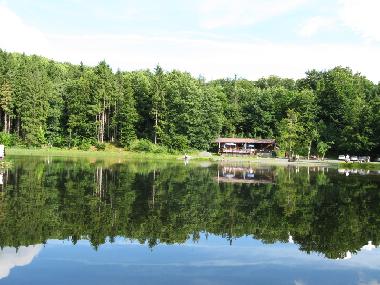 Holiday Apartment in Sondheim-Rhn (Lower Franconia) or holiday homes and vacation rentals