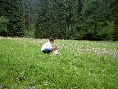 Holiday Apartment in St�tzerbach (Thuringian forest) or holiday homes and vacation rentals