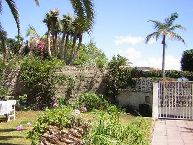 Holiday Apartment in Puerto de la Cruz (Teneriffa) or holiday homes and vacation rentals