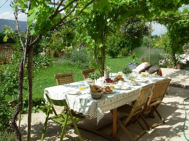 Breakfast under the vines.