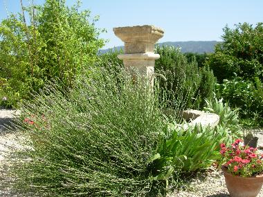 Stone fountain...