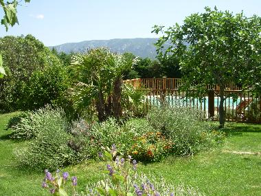 Bed and Breakfast in Coustellet (Vaucluse) or holiday homes and vacation rentals