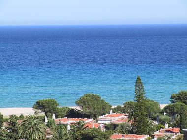 sea view from garden terrace