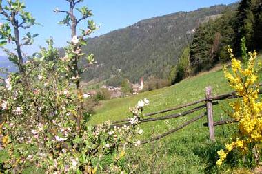 Holiday Apartment in St.Sigmund Kiens (Bolzano-Bozen) or holiday homes and vacation rentals