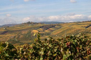 Holiday Apartment in 65345 (Rhinegau-Taunus / Wiesbaden) or holiday homes and vacation rentals