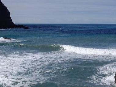 Holiday Apartment in Machico (Porto da Cruz) (Madeira) or holiday homes and vacation rentals