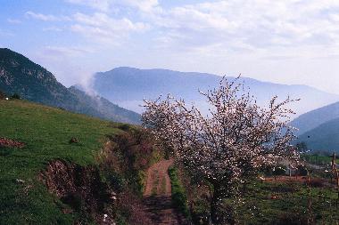 Holiday House in Bubion (Granada) or holiday homes and vacation rentals