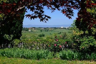 Holiday House in Castiglione del Lago (Perugia) or holiday homes and vacation rentals