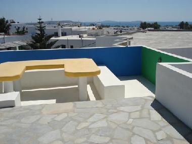 The roof terrace