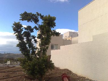 Holiday House in Gergal (Almera) or holiday homes and vacation rentals