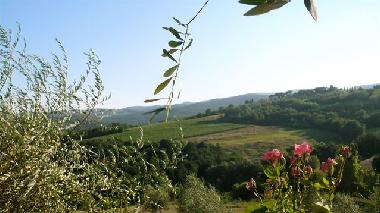Holiday House in Gambassi Terme  (Firenze) or holiday homes and vacation rentals