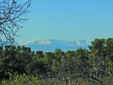 View to Sierra Nevada from Campo Cebas