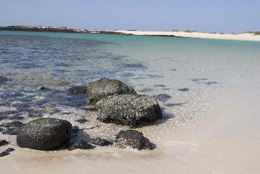 Holiday Apartment in Corralejo (Fuerteventura) or holiday homes and vacation rentals