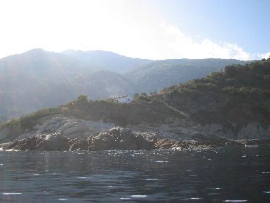 Holiday House in S. Andrea (Livorno) or holiday homes and vacation rentals