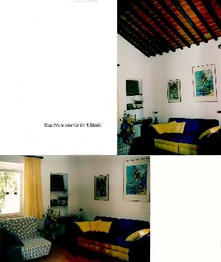 Holiday House in S. Andrea (Livorno) or holiday homes and vacation rentals