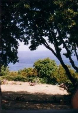 Holiday House in S. Andrea (Livorno) or holiday homes and vacation rentals