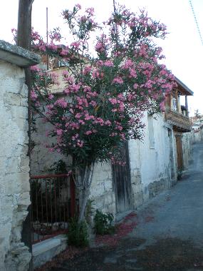 Holiday House in Vouni (Limassol) or holiday homes and vacation rentals