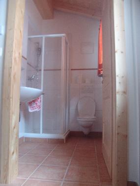 shower and toilet on the downstairs