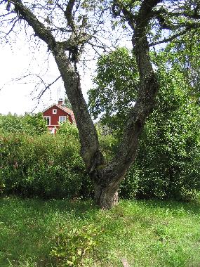 Holiday House in Ruda (Smaland) or holiday homes and vacation rentals