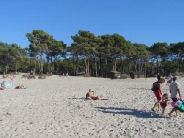 Holiday Apartment in Calvi (Haute-Corse) or holiday homes and vacation rentals