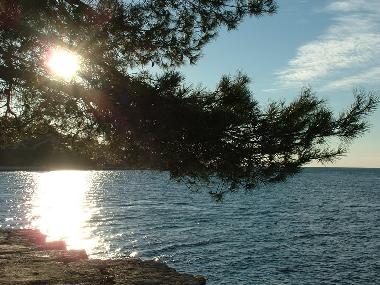 Holiday Apartment in pula stinjan (Istarska) or holiday homes and vacation rentals