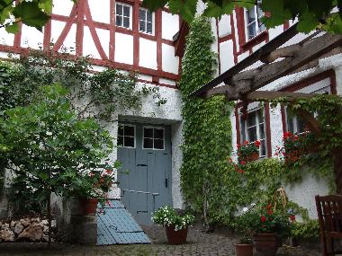 Secluded Courtyard