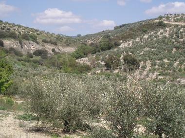 Holiday House in Ribera Baja, Jan (Jan) or holiday homes and vacation rentals