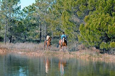 Horse Riding in Ria Formosa Nature Park