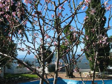 Holiday House in MIJAS (Mlaga) or holiday homes and vacation rentals