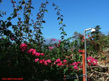 Holiday House in Piedimonte Etneo (Catania) or holiday homes and vacation rentals