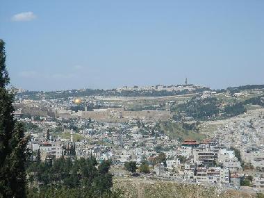view from roof top