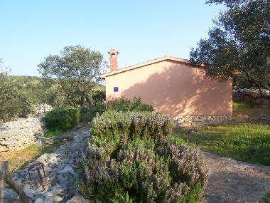 Holiday House in Dugi Otok - Sali (Zadarska) or holiday homes and vacation rentals