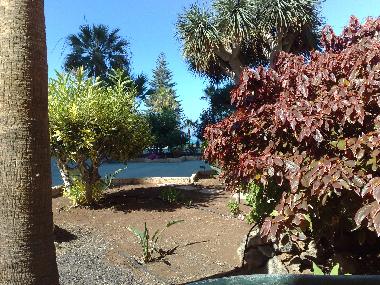 Holiday Apartment in Los Christianos (Teneriffa) or holiday homes and vacation rentals