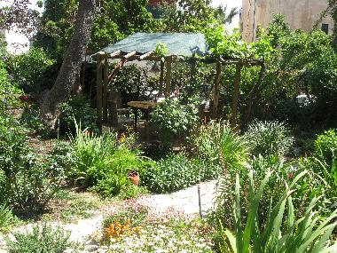 GARDEN 2