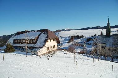 The house in the winter