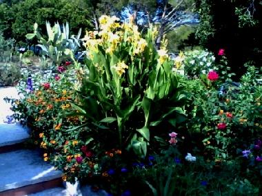 Holiday House in Baja Sardinia (Sassari) or holiday homes and vacation rentals