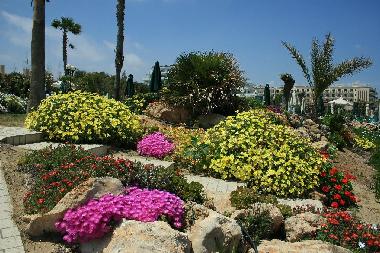 Beautiful gardens