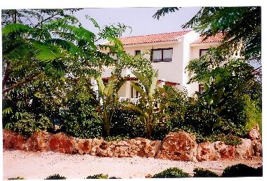 Part of the rock garden