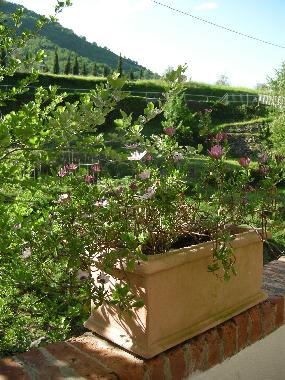 Holiday House in Ortonovo (Massa-Carrara) or holiday homes and vacation rentals