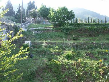 Holiday House in Ortonovo (Massa-Carrara) or holiday homes and vacation rentals