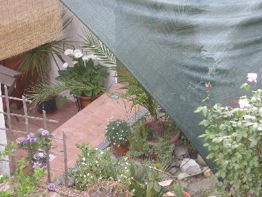 Holiday House in Ortonovo (Massa-Carrara) or holiday homes and vacation rentals