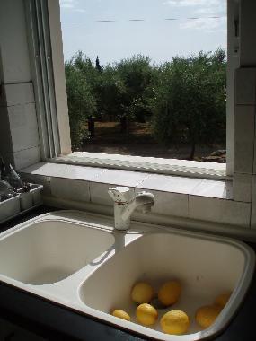 Holiday Apartment in kalamata (Messinia) or holiday homes and vacation rentals