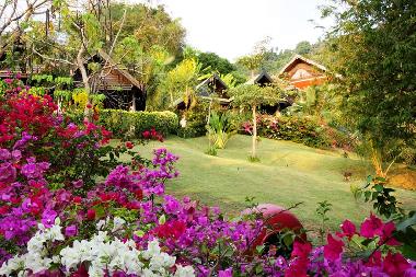 Hotel in Kata (Phuket) or holiday homes and vacation rentals