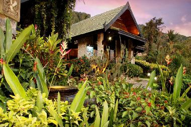 Hotel in Kata (Phuket) or holiday homes and vacation rentals