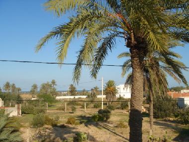 View from the balcony