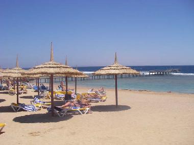 A Day out at the Beach only 700 meters away