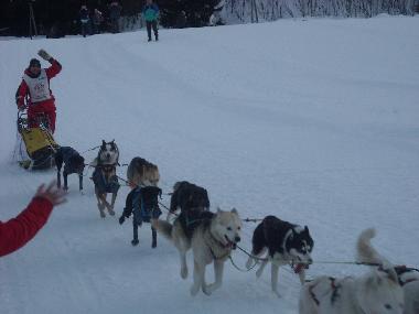 Holiday Apartment in LES CARROZ d'Araches (Haute-Savoie) or holiday homes and vacation rentals