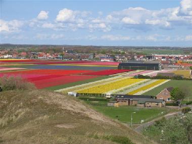 Holiday Apartment in Egmond aan Zee (Noord-Holland) or holiday homes and vacation rentals