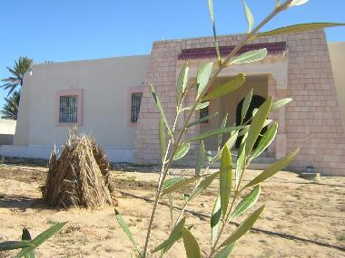 Holiday House in DJERBA (Madanin) or holiday homes and vacation rentals