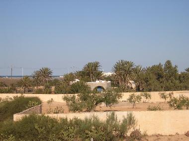 Holiday House in DJERBA (Madanin) or holiday homes and vacation rentals